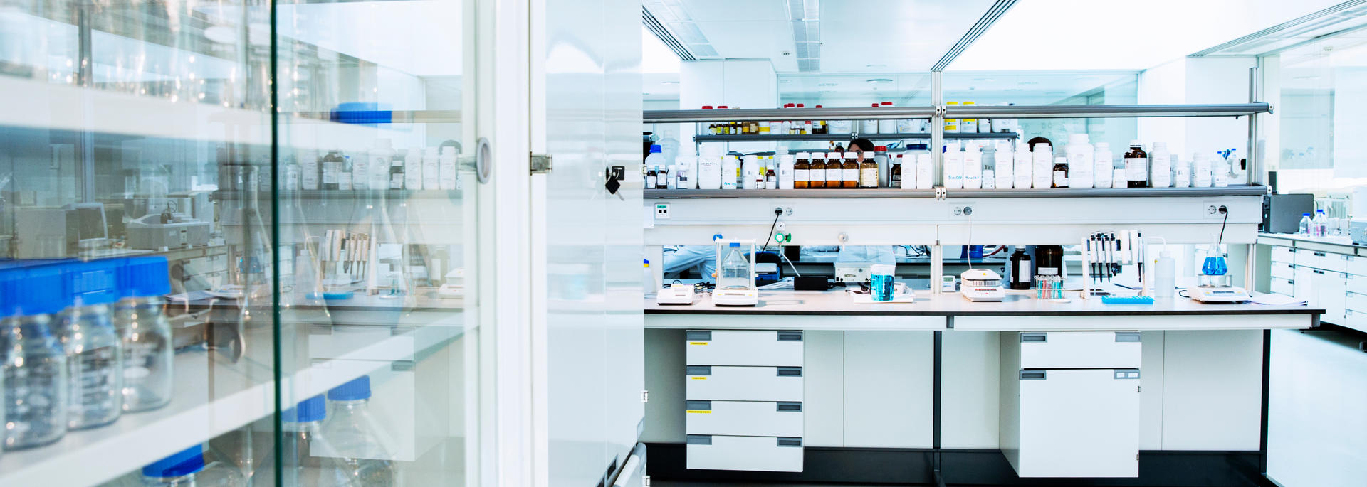 lab